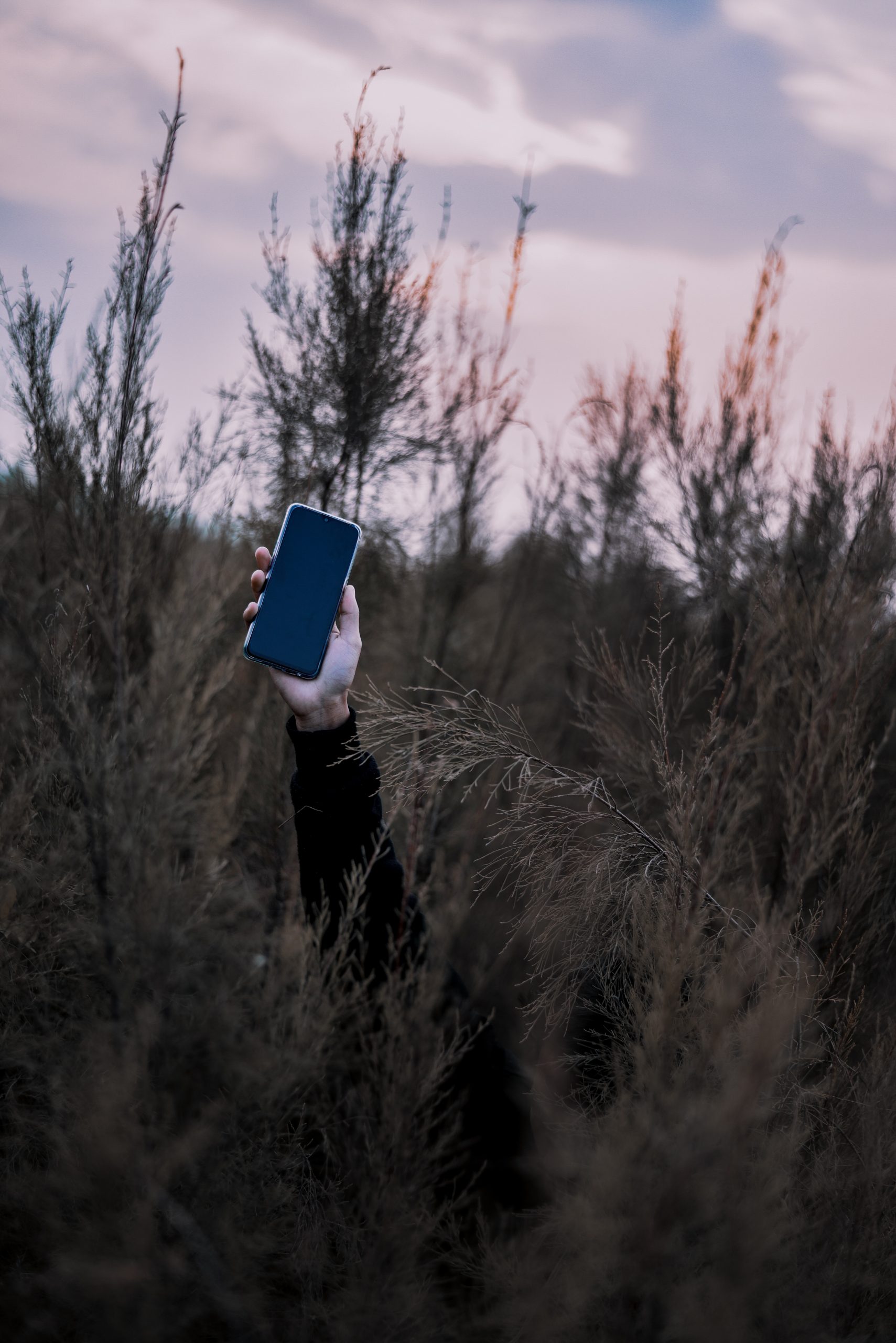 Photo by Nijwam Swargiary on Unsplash